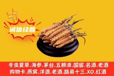 昌都回收冬虫夏草